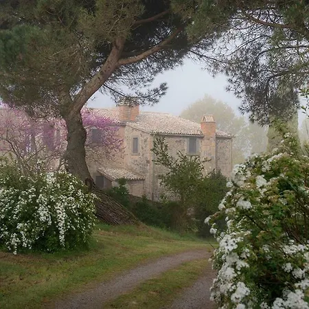 La Cerqueta Di * Bagnoregio
