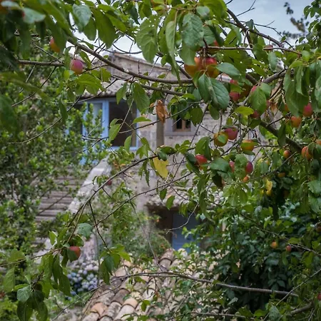 Country house La Cerqueta Di